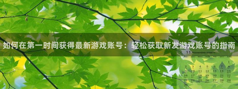 新城平台代理电话：如何在第一时间获得最新游戏账号：轻松获取新发游戏账号的指南